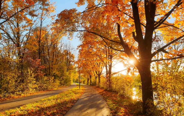 Herbstsonne